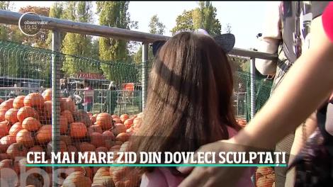 Bucureştiul se pregăteşte pentru cel mai mare zid făcut din dovleci sculptaţi