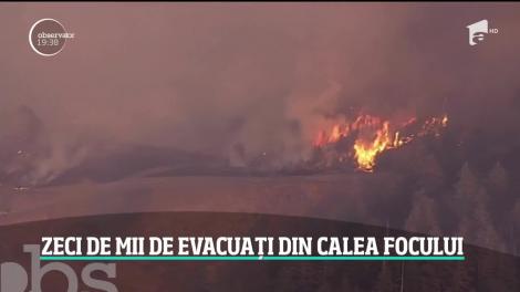 Stare de urgenţă în două regiuni din California din cauza incendiilor de vegetaţie! 50.000 de oameni au primit deja ordin de evacuare