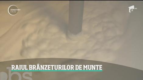 O brânză românească şi-a câştigat fani chiar şi peste ocean