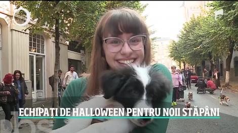 Echipați de Halloween pentru noii stăpâni