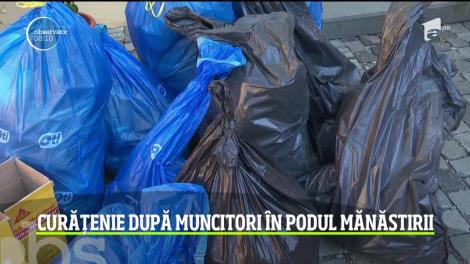 Basilica Maria Radna din Arad, curățată de zeci de voluntari