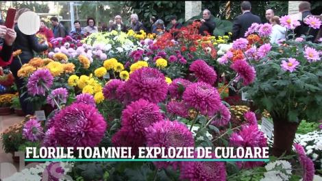 Locul în care varza şi dovlecii decorativi le fac concurenţă florilor. Unde le puteţi admira