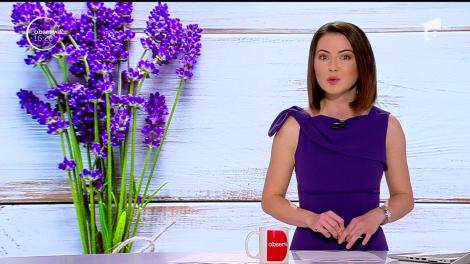 Afacere parfumată cu lavandă. Povestea învăţătoarei dintr-o localitate bistriţeană