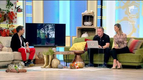 Smiley News - Neatza cu Răzvan și Dani. Papagalul care dansează pe muzică house