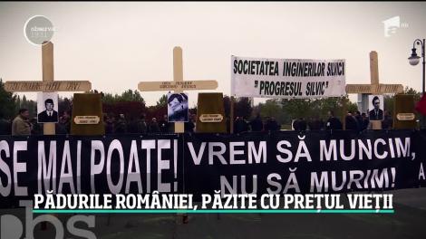 Cruci şi sicrie în faţa Parlamentului, la protestul pădurarilor