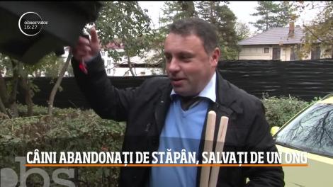 La un pas să se aleagă cu un dosar penal, după ce şi-a abandonat căţeluşa şi pe cei cinci pui ai săi