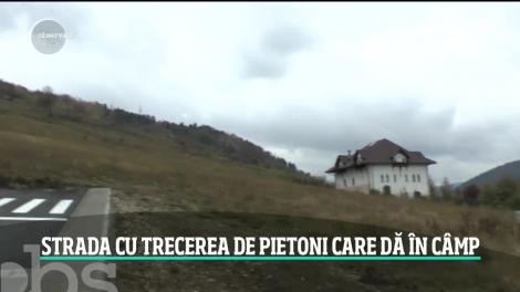 Drumul ce duce nicăieri. O investiție de zeci de mii de euro a autorităților din Piatra Neamț. Ce glume fac localnicii și ce explicații au constructorii?