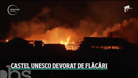Castel protejat Unesco din Japonia, mistuit de flăcări. Construcţiile din lemn au ars ca o torţă