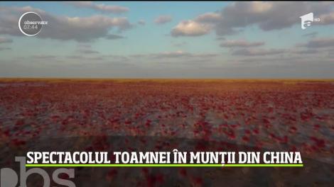 Spectaolul toamnei în Munții din China