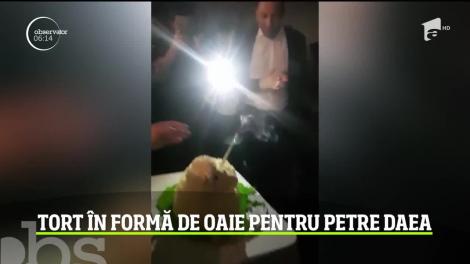 Imagini amuzante. Tort în formă de oaie pentru Petre Daea