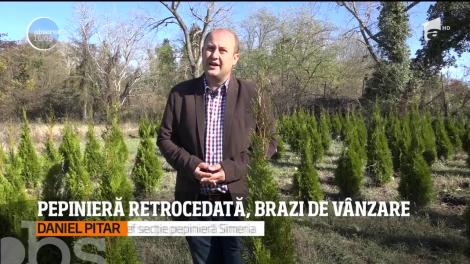 Pepiniera de la Simeria, din judeţul Hunedoara, se desfiinţează!