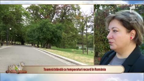 Meteorologii anunță o toamnă blândă cu temperaturi record în România