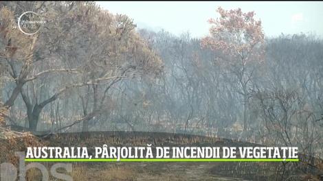 Incendiile de vegetaţie din Australia fac primele victime