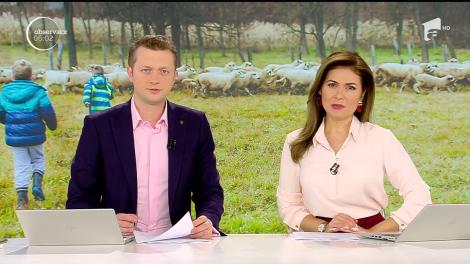 Alertă în Vaslui! Doi fraţi minori au dispărut de la stâna unde locuiau cu părinţii lor