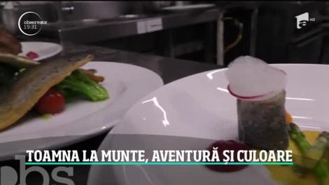 Turiştii au luat cu asalt pensiunile de pe Valea Timişului