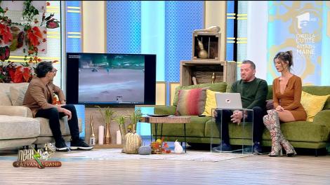 Smiley News. În India, jocul "Măgărușul" se practică cu o văcuță!