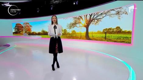 Agricultorii din țară, disperați de temperaturile nefiresc de ridicate: ”Vom avea pierderi de peste 70 de procente!”