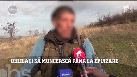 Doi copii, înfometați și obligați să muncească zi-lumină, chiar de părinții lor: ”Erau tratați ca niște sclavi!”