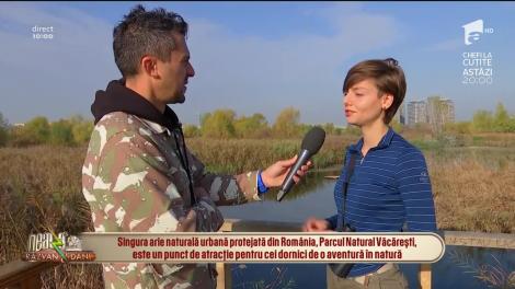 Parcul Natural Văcărești, oaza din mijlocul orașului București