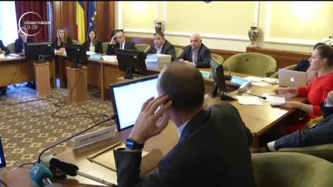 Noul ministru al Muncii, Violeta Alexandru, a prezentat soluţiile de creştere a salariului minim