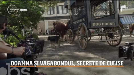 Noul film "Doamna și Vagabondul", secrete de culise