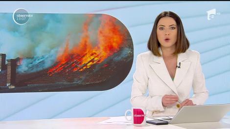 Pericol de explozie într-o localitate din Argeş, după ce o casă folosită ca adăpost pentru mai multe pisici a luat foc