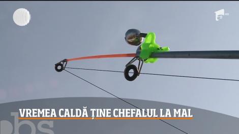 La mare, bucătarii încă mai gătesc preparate din peşte. Vremea caldă ține chefalul la mal