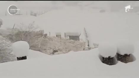O avalanşă a fost filmată în imagini incredibile. Valul uriaş de zăpadă a acoperit străzi şi case, iar autorităţile nu ştiu deocamdată dacă sunt persoane dispărute