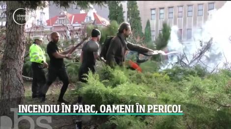 Incendiu puternic în Parcul Central din Braşov