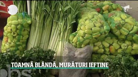Toamnă blandă, murături ieftine