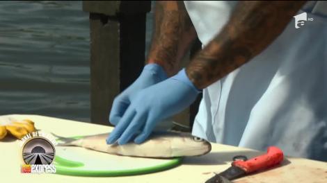 Jurnal de Călătorie - Alex Velea şi Mario Fresh, un duo de senzaţie în Asia Express! "Noi credem că facem o echipă bună"