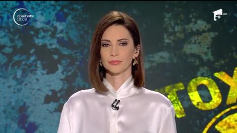 Deratizarea mortală din Timișoara s-a făcut complet ilegal! Firma a fost înfiinţată în 2015 și a scăpat de verificări! Avocatul patronului: „Nu avea de unde să ştie!”