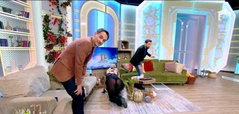 Neatza cu Răzvan și Dani! Cardiacii să închidă televizorul! Dianna Rotaru, cu posteriorul la vedere: Miau! Dani, am înțeles că te înțelegi foarte bine cu pisicile!