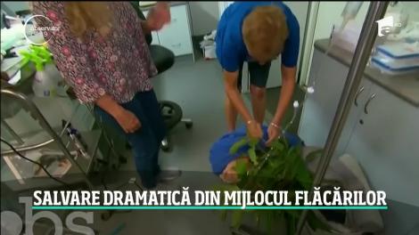 O femeie şi-a riscat viaţa ca să o salveze pe a unui pui koala