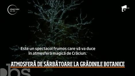 Grădinile Botanice Regale din Londra au intrat în spiritul Crăciunului cu un spectacol impresionant de lumini!