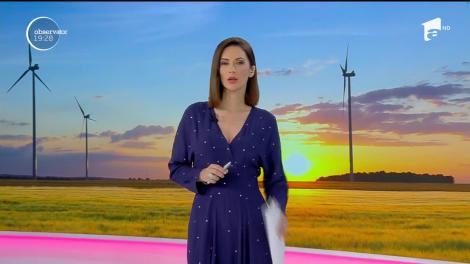 Agricutorii din sudul ţării au găsit reţeta succesului: nu mai cultivă grâu sau porumb, ci plantează eoliene