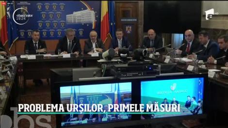 Șoferul care a lovit ursul din Harghita se plânge că a rămas fără maşină