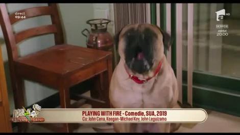 Neatza cu Răzvan și Dani. Cronica filmelor care trebuie vizionate: Zavera, Charlie's Angels și Playing with fire