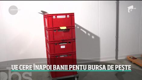 La opt luni de când a inaugurat Bursa de Peşte, cu fonduri europene, România trebuie să dea banii înapoi