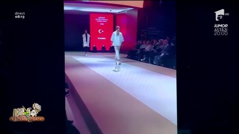 Neatza cu Răzvan și Dani - Smiley news. Pisica neinvitată, vedeta unei prezentări de modă cu pretenții