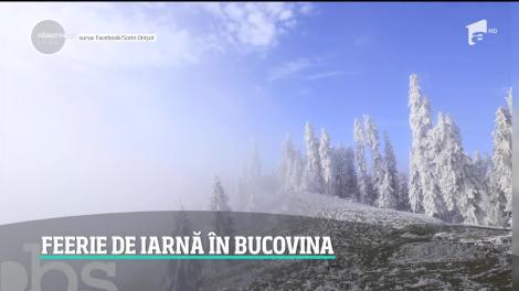 Chiciura a creat un peisaj splendid în Gura Humorului. Pozele spectaculoase care au devenit virale