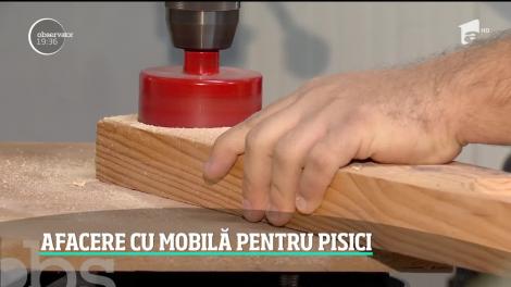 Afacere cu mobilă pentru pisici. Cum arată piaţa mobilierului pentru necuvântătoare