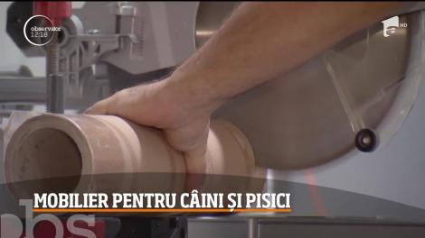 Mobilier pentru câni și pisici, sub mai toate formele pe care vi le puteti imagina