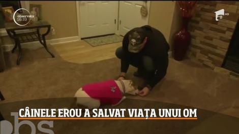 O căţeluşă din Statele Unite a salvat viaţa unei vecine în vârstă