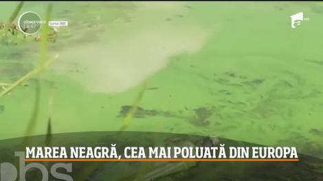 Marea Neagră, coșul de gunoi al Europei de Est. Oamenii, îndemnați să evite scăldatul