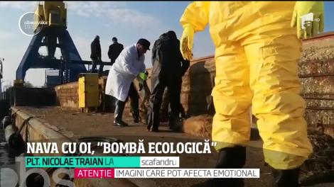 Scandalul oilor care agonizează pe nava răstrunată în Marea Neagră a ajuns și la urechile Guvernului