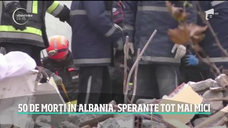 Trei câini din România ajută la salvarea victimelor din Albania