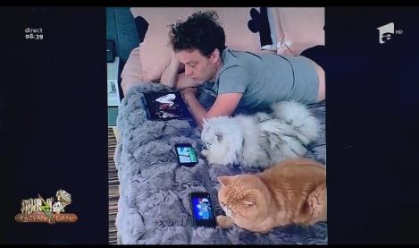 Smiley News - Neatza cu Răzvan și Dani. Pisicile dependente de desene animate, bunicuța bogată și copilul fotbalist