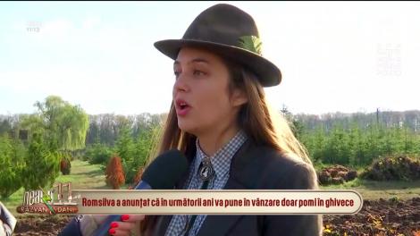 Neatza cu Răzvan și Dani. Cât costă bradul de Crăciun în acest an. Romsilva promovează brazii la ghiveci