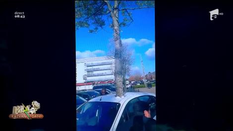 Smiley News - Neatza cu Răzvan și Dani. Câinele cu ochelari, pictura cu două fețe și copacul care a crescut printr-o mașină